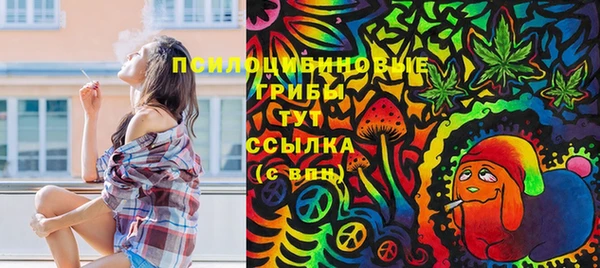 таблы Алексин