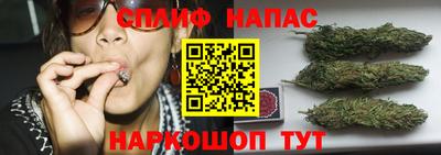 spice Братск