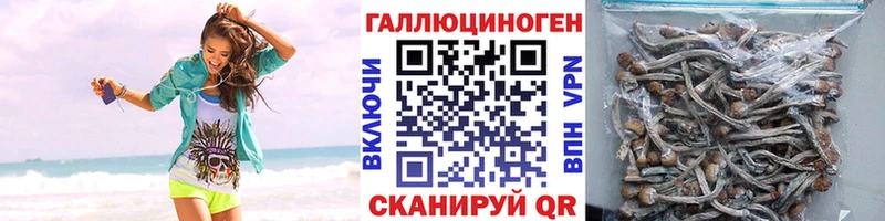 гидра Лиски Галлюциногенные грибы Psilocybine cubensis