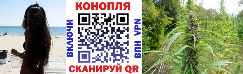 omg tor  закладки  Лиски  Шишки марихуана индика 